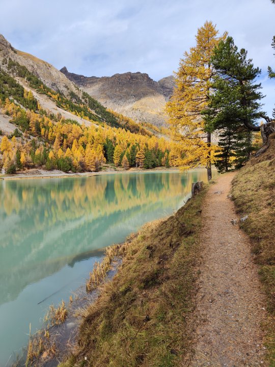 Chemin single de trail le long du lac de l'Orceyrette, à l'automne avec couleurs oranges et jaunes