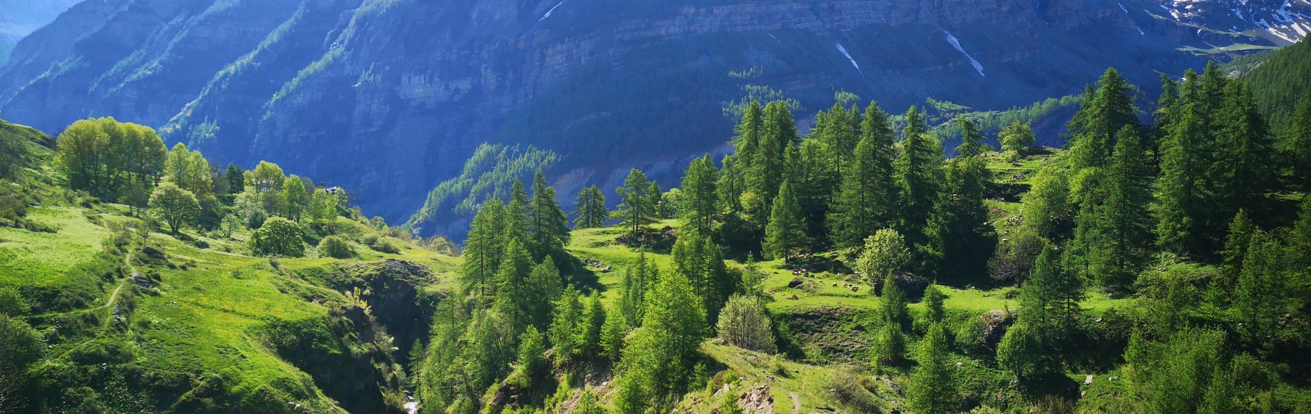 Panorama de trail dans les Ecrins