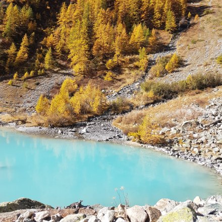 Incroyable lac turquoise de trail